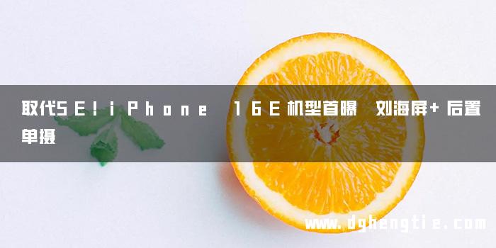 取代SE!iPhone 16E机型首曝 刘海屏+后置单摄